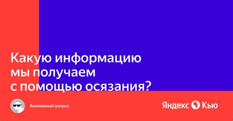 Какую информацию предоставляет Яндекс